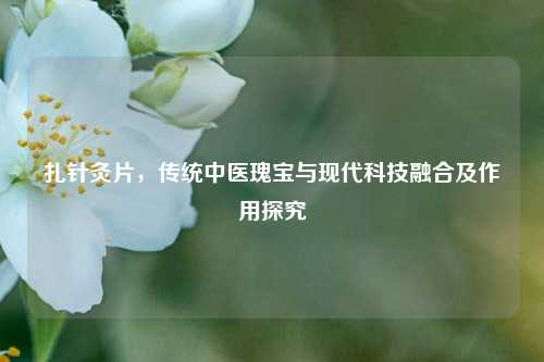 扎针灸片,传统中医瑰宝与现代科技融合及作用探究
