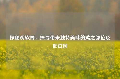 探秘鸡软骨,探寻带来独特美味的鸡之部位及部位图