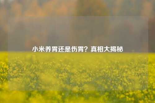小米养胃还是伤胃？真相大揭秘