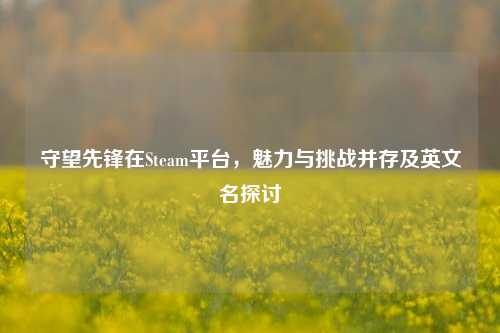 守望先锋在Steam平台，魅力与挑战并存及英文名探讨