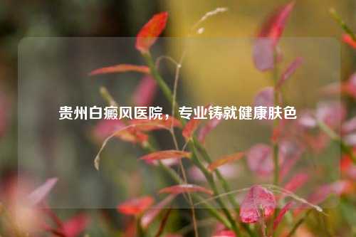 贵州白癜风医院,专业铸就健康肤色