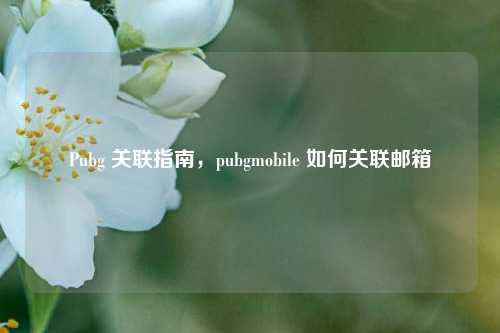 Pubg 关联指南,pubgmobile 如何关联邮箱