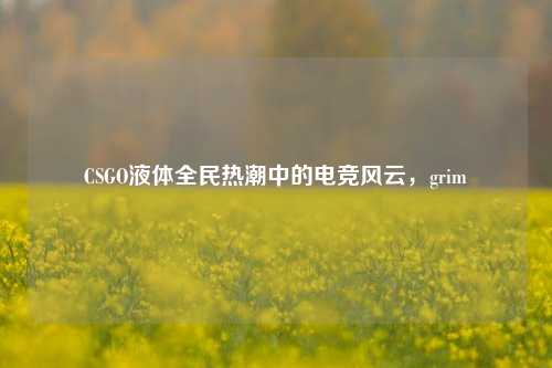 CSGO液体全民热潮中的电竞风云,grim