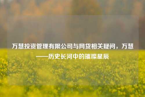 万慧投资管理有限公司与网贷相关疑问,万慧——历史长河中的璀璨星辰