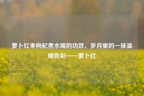 萝卜红枣枸杞煮水喝的功效,岁月里的一抹温暖色彩——萝卜红