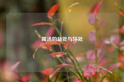 喝汤的益处与坏处