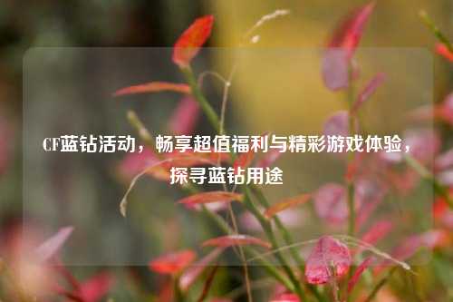 CF蓝钻活动,畅享超值福利与精彩游戏体验,探寻蓝钻用途