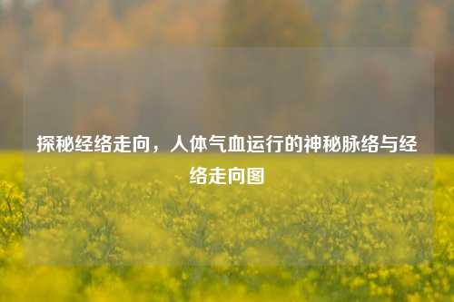 探秘经络走向，人体气血运行的神秘脉络与经络走向图
