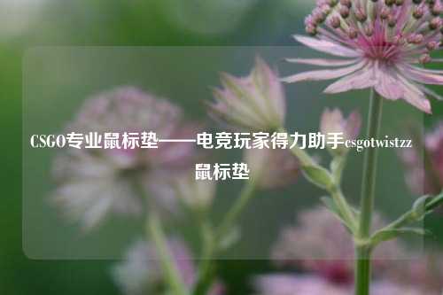 CSGO专业鼠标垫——电竞玩家得力助手csgotwistzz鼠标垫
