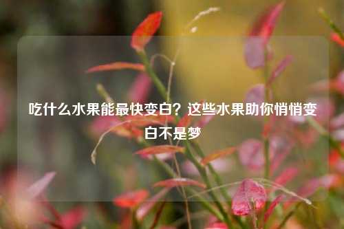 吃什么水果能最快变白?这些水果助你悄悄变白不是梦