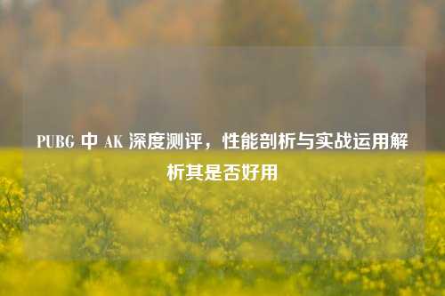 PUBG 中 AK 深度测评，性能剖析与实战运用解析其是否好用
