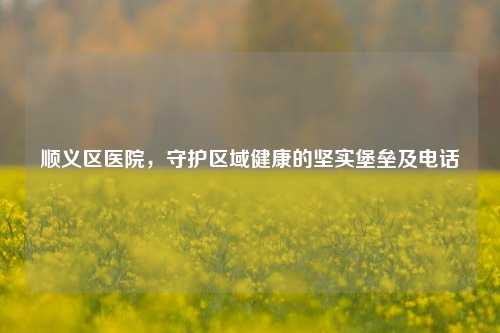 顺义区医院，守护区域健康的坚实堡垒及电话