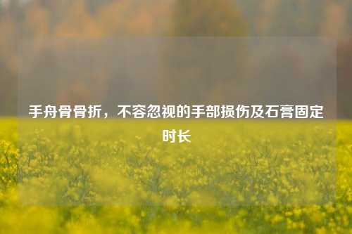 手舟骨骨折,不容忽视的手部损伤及石膏固定时长