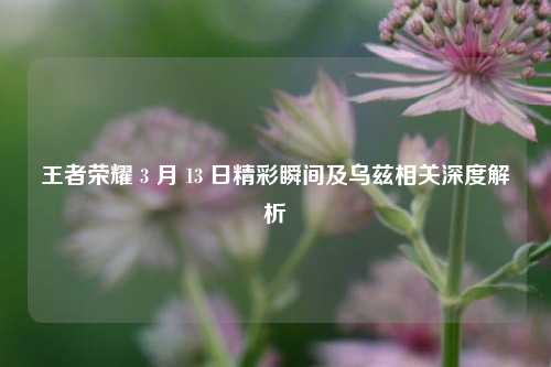 王者荣耀 3 月 13 日精彩瞬间及乌兹相关深度解析
