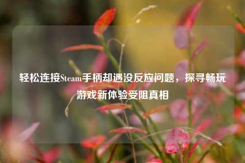 轻松连接Steam手柄却遇没反应问题,探寻畅玩游戏新体验受阻真相