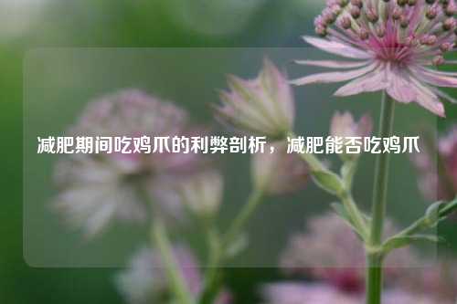 减肥期间吃鸡爪的利弊剖析，减肥能否吃鸡爪