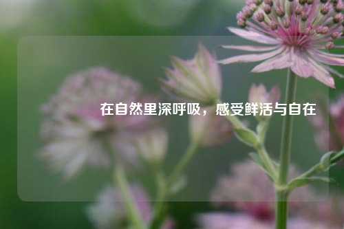 🌬️在自然里深呼吸,感受鲜活与自在💕