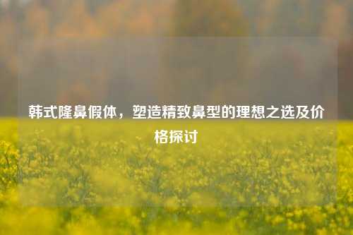 韩式隆鼻假体，塑造精致鼻型的理想之选及价格探讨