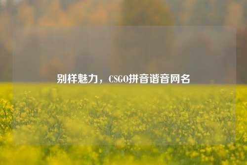 别样魅力,CSGO拼音谐音网名