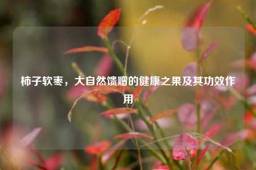 柿子软枣,大自然馈赠的健康之果及其功效作用