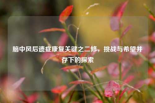 脑中风后遗症康复关键之二修，挑战与希望并存下的探索