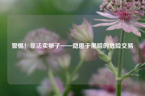 警惕!非法卖卵子——隐匿于黑暗的危险交易
