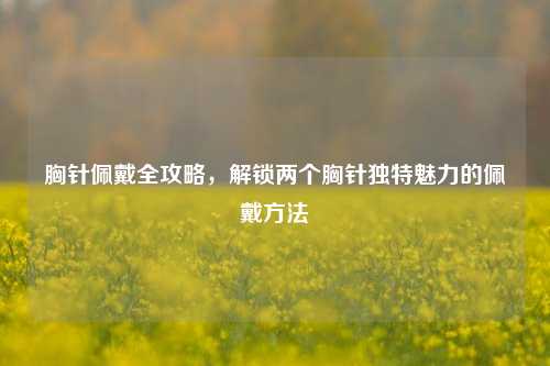 胸针佩戴全攻略，解锁两个胸针独特魅力的佩戴方法