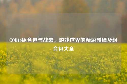 COD16组合包与战豪,游戏世界的精彩碰撞及组合包大全