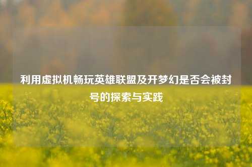 利用虚拟机畅玩英雄联盟及开梦幻是否会被封号的探索与实践