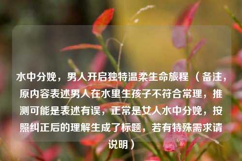 水中分娩,男人开启独特温柔生命旅程 (备注,原内容表述男人在水里生孩子不符合常理,推测可能是表述有误,正常是女人水中分娩,按照纠正后的理解生成了标题,若有特殊需求请说明)