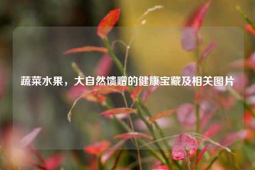 蔬菜水果，大自然馈赠的健康宝藏及相关图片
