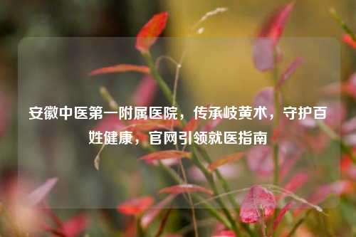 安徽中医第一附属医院，传承岐黄术，守护百姓健康，官网引领就医指南