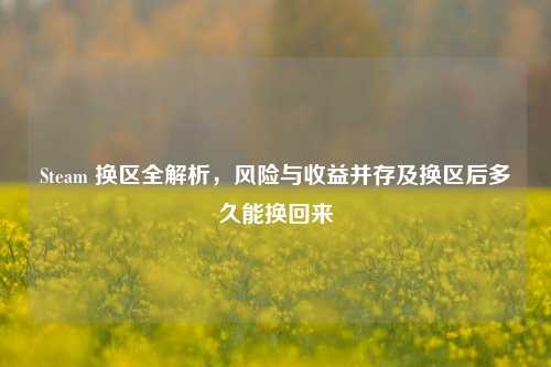 Steam 换区全解析，风险与收益并存及换区后多久能换回来