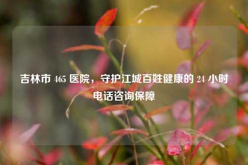 吉林市 465 医院,守护江城百姓健康的 24 小时电话咨询保障