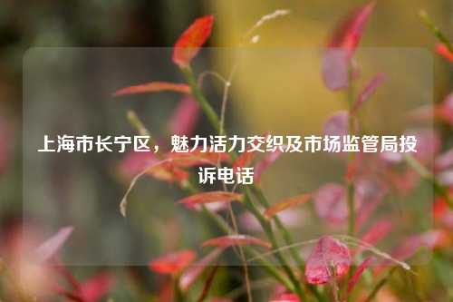 上海市长宁区,魅力活力交织及市场监管局投诉电话