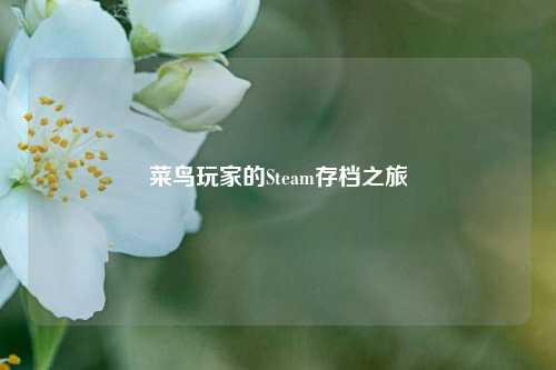 菜鸟玩家的Steam存档之旅