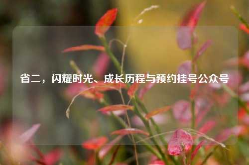 省二，闪耀时光、成长历程与预约挂号公众号