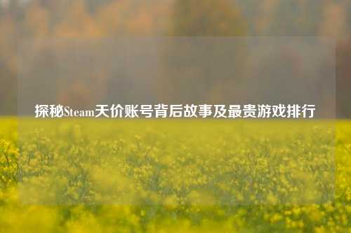探秘Steam天价账号背后故事及最贵游戏排行