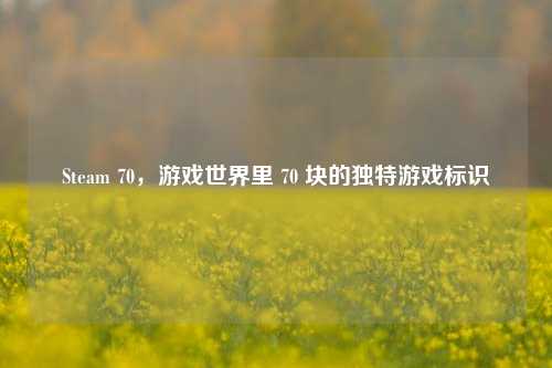 Steam 70，游戏世界里 70 块的独特游戏标识