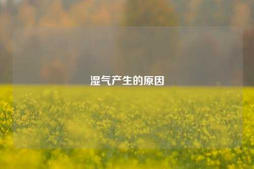 湿气产生的原因