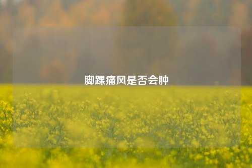 脚踝痛风是否会肿