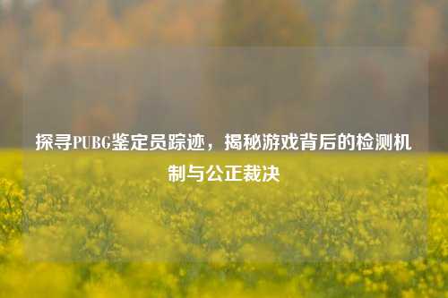 探寻PUBG鉴定员踪迹,揭秘游戏背后的检测机制与公正裁决