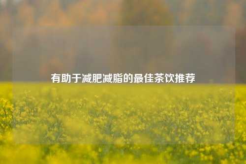有助于减肥减脂的最佳茶饮推荐