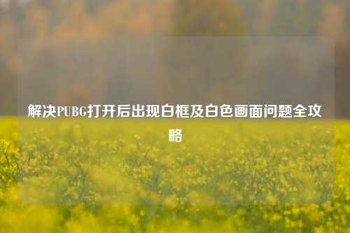 解决PUBG打开后出现白框及白色画面问题全攻略