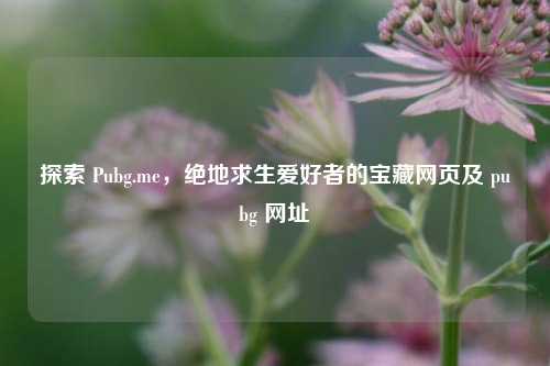 探索 Pubg.me，绝地求生爱好者的宝藏网页及 pubg 网址