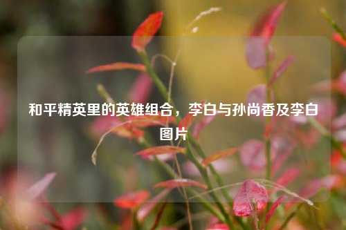 和平精英里的英雄组合，李白与孙尚香及李白图片