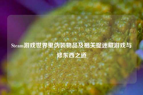 Steam游戏世界里伪装物品及相关捉迷藏游戏与修东西之道