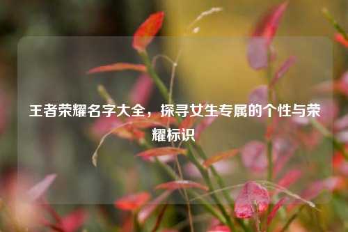 王者荣耀名字大全,探寻女生专属的个性与荣耀标识
