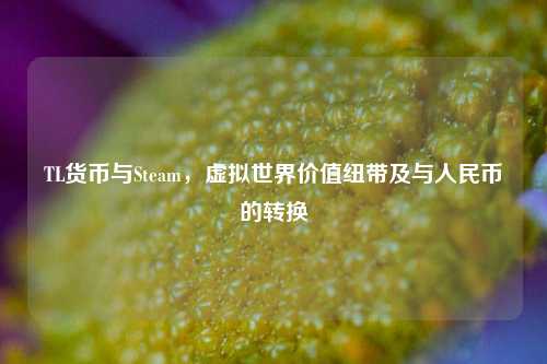 TL货币与Steam,虚拟世界价值纽带及与人民币的转换