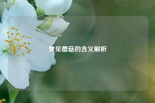 梦见蘑菇的含义解析